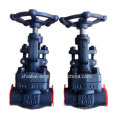 API602 Forged Carbon Steel A105 Thread End NPT Globe Valve